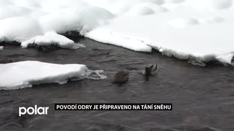 Regionální zprávy POLAR