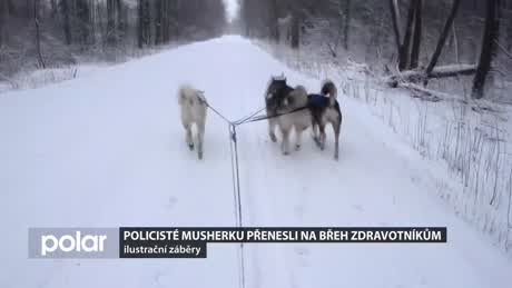 Regionální zprávy POLAR