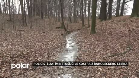 Regionální zprávy POLAR