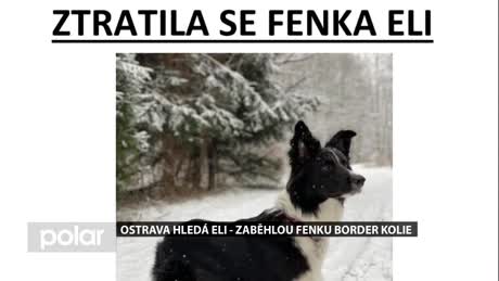 Regionální zprávy POLAR