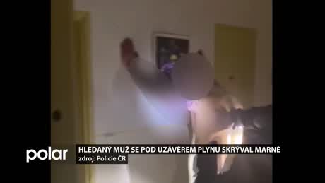 Regionální zprávy POLAR