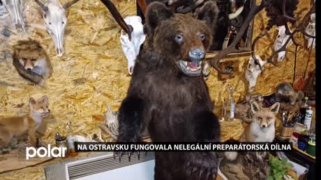 Regionální zprávy POLAR