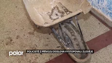 Regionální zprávy POLAR