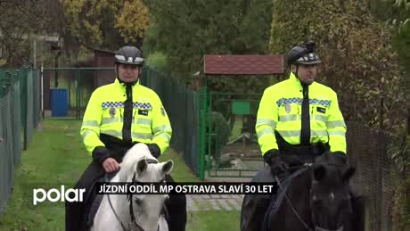 Regionální zprávy POLAR