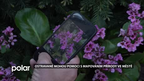 Regionální zprávy POLAR