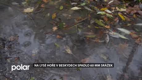 Regionální zprávy POLAR
