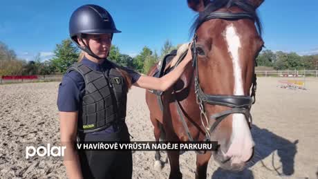 Regionální zprávy POLAR