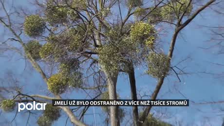 Regionální zprávy POLAR