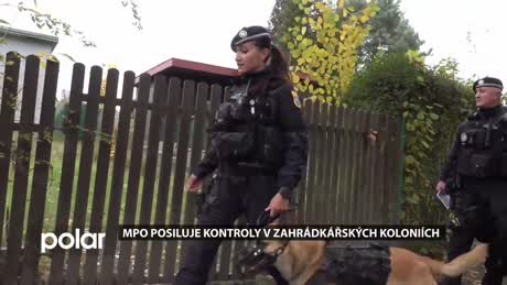 Regionální zprávy POLAR