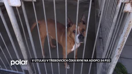 Regionální zprávy POLAR