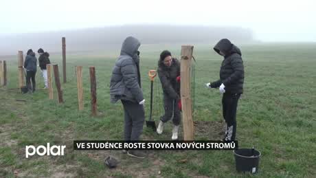 Regionální zprávy POLAR