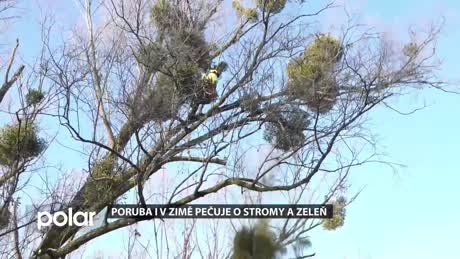 Regionální zprávy POLAR