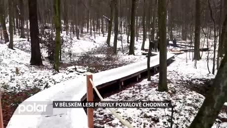 Regionální zprávy POLAR