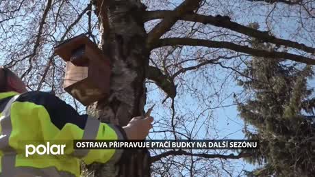 Regionální zprávy POLAR