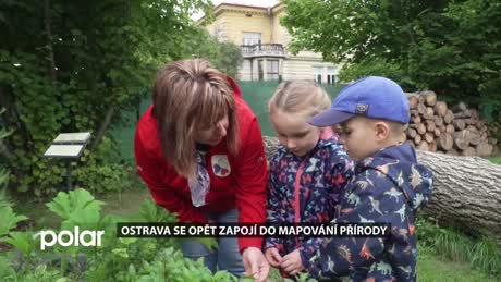 Regionální zprávy POLAR - hlavní vydání