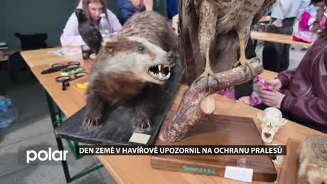 Regionální zprávy POLAR