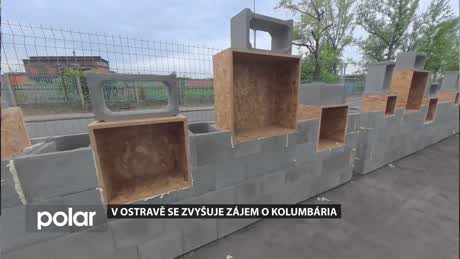Regionální zprávy POLAR - hlavní vydání