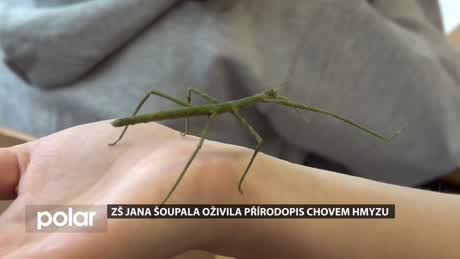 Regionální zprávy POLAR - hlavní vydání