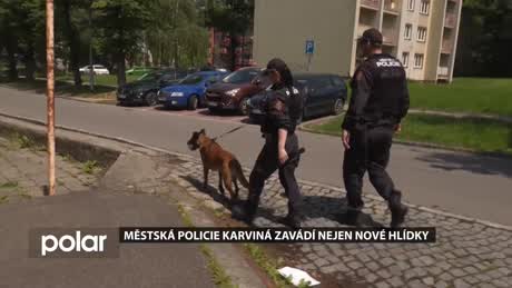 Regionální zprávy POLAR - hlavní vydání