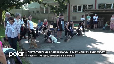 Regionální zprávy POLAR - hlavní vydání