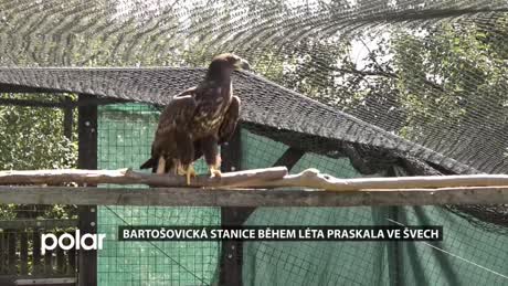 Regionální zprávy POLAR - hlavní vydání