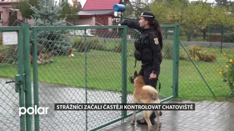 Regionální zprávy POLAR - hlavní vydání