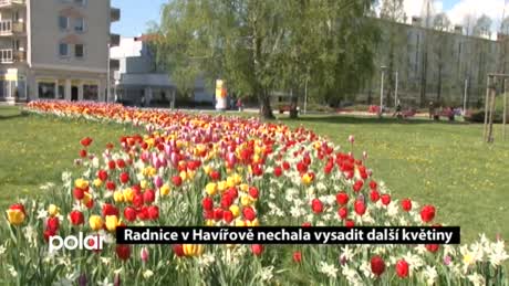 Regionální zprávy POLAR
