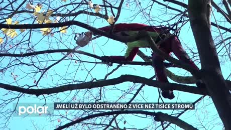 Regionální zprávy VÍKEND