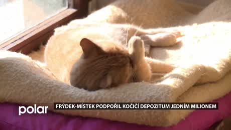 Regionální zprávy VÍKEND