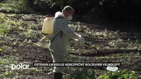 Regionální zprávy VÍKEND