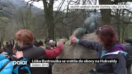 Regionální zprávy POLAR