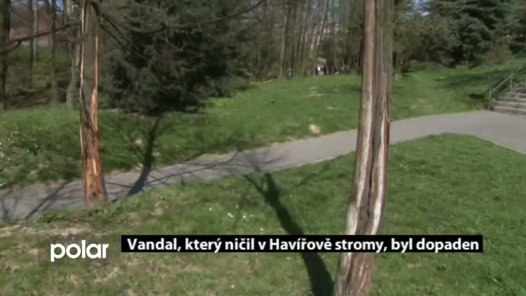 Regionální zprávy POLAR