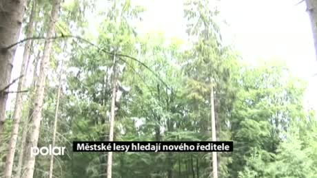 Regionální zprávy POLAR