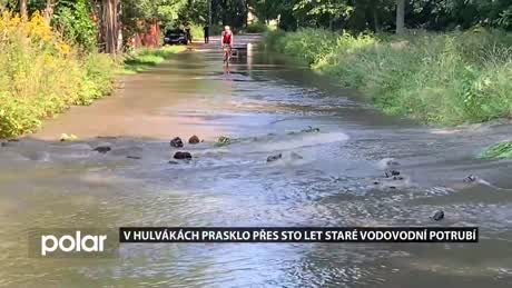 Regionální zprávy POLAR